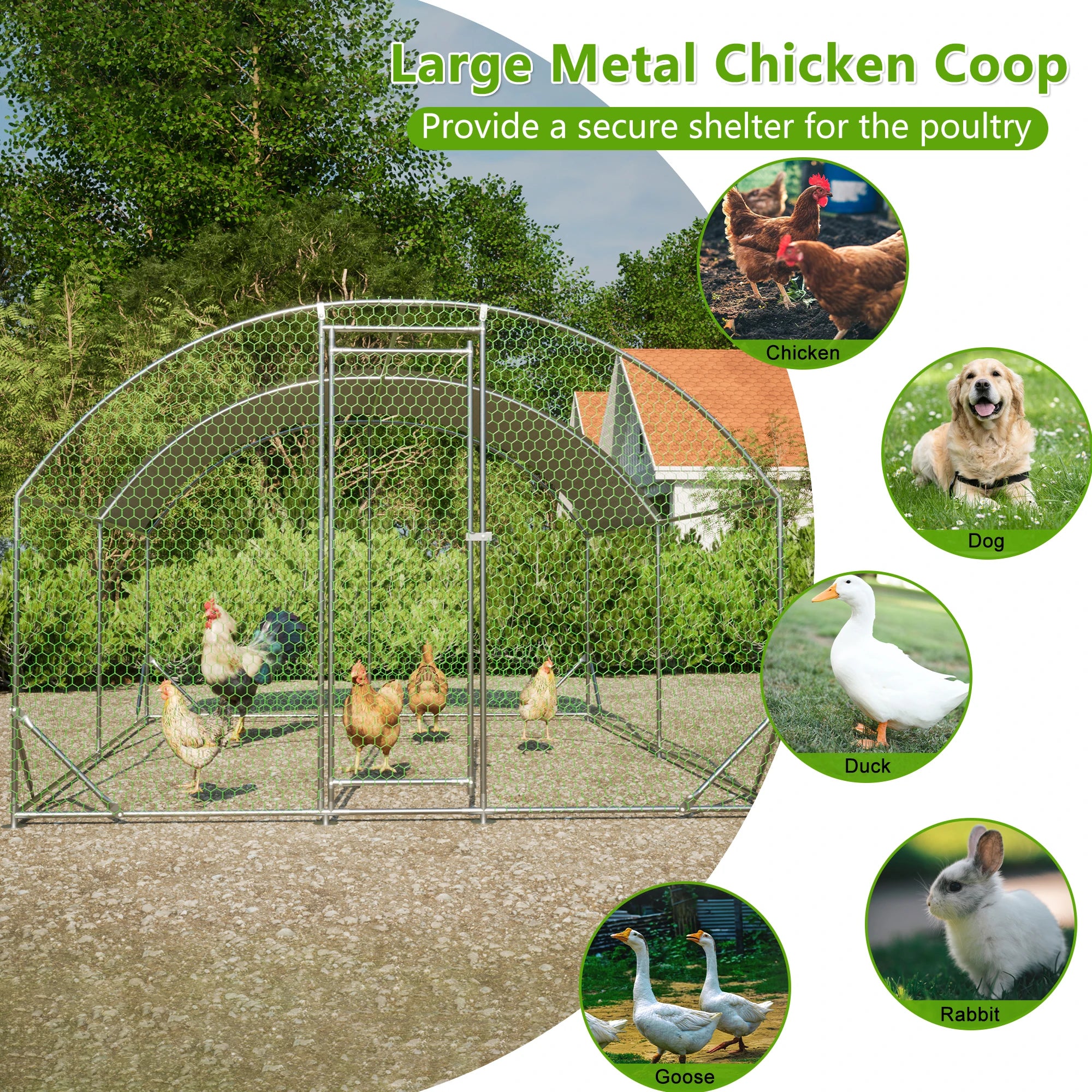 Large Chicken Coop/Chicken Run