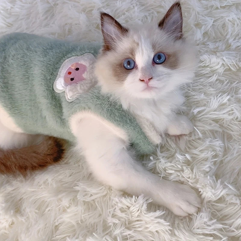 Cats Warm Kittens Clothes
