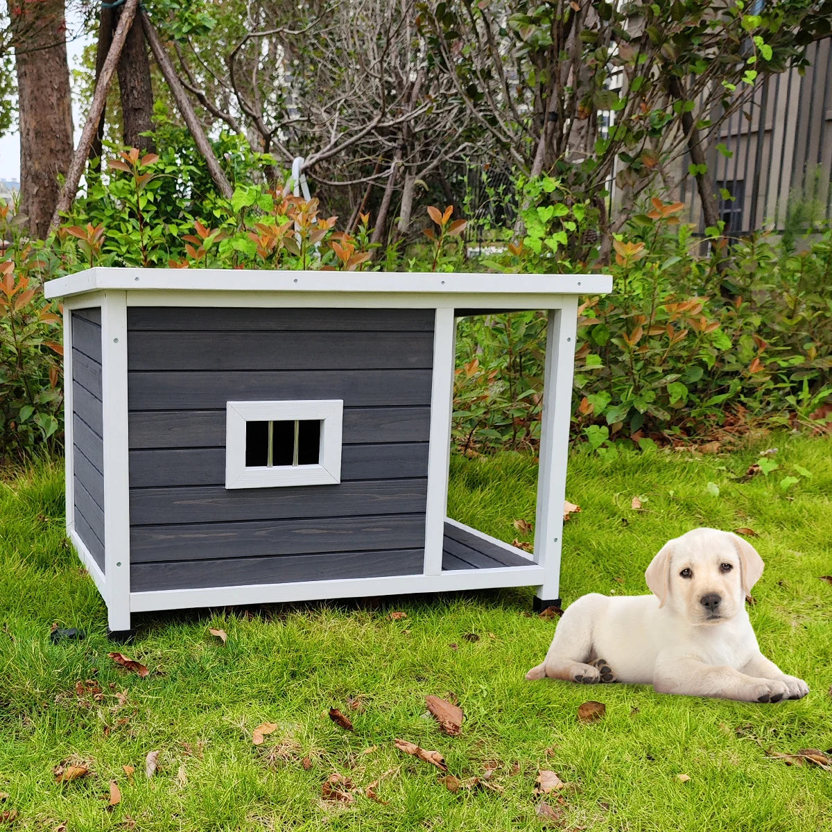 Wooden Puppy Kennel