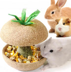 Apple Core Shaped Hamster Chew Toy