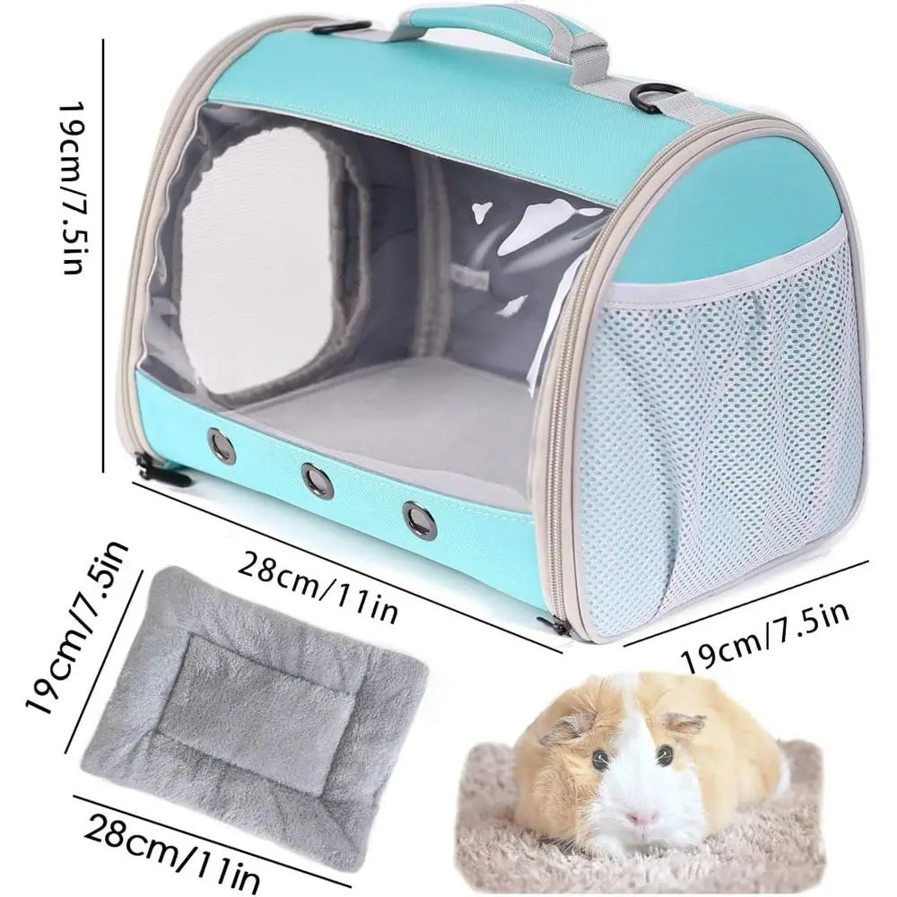 Bearded Dragon Travel Carrier