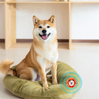 Pet emotional soothing bead patch