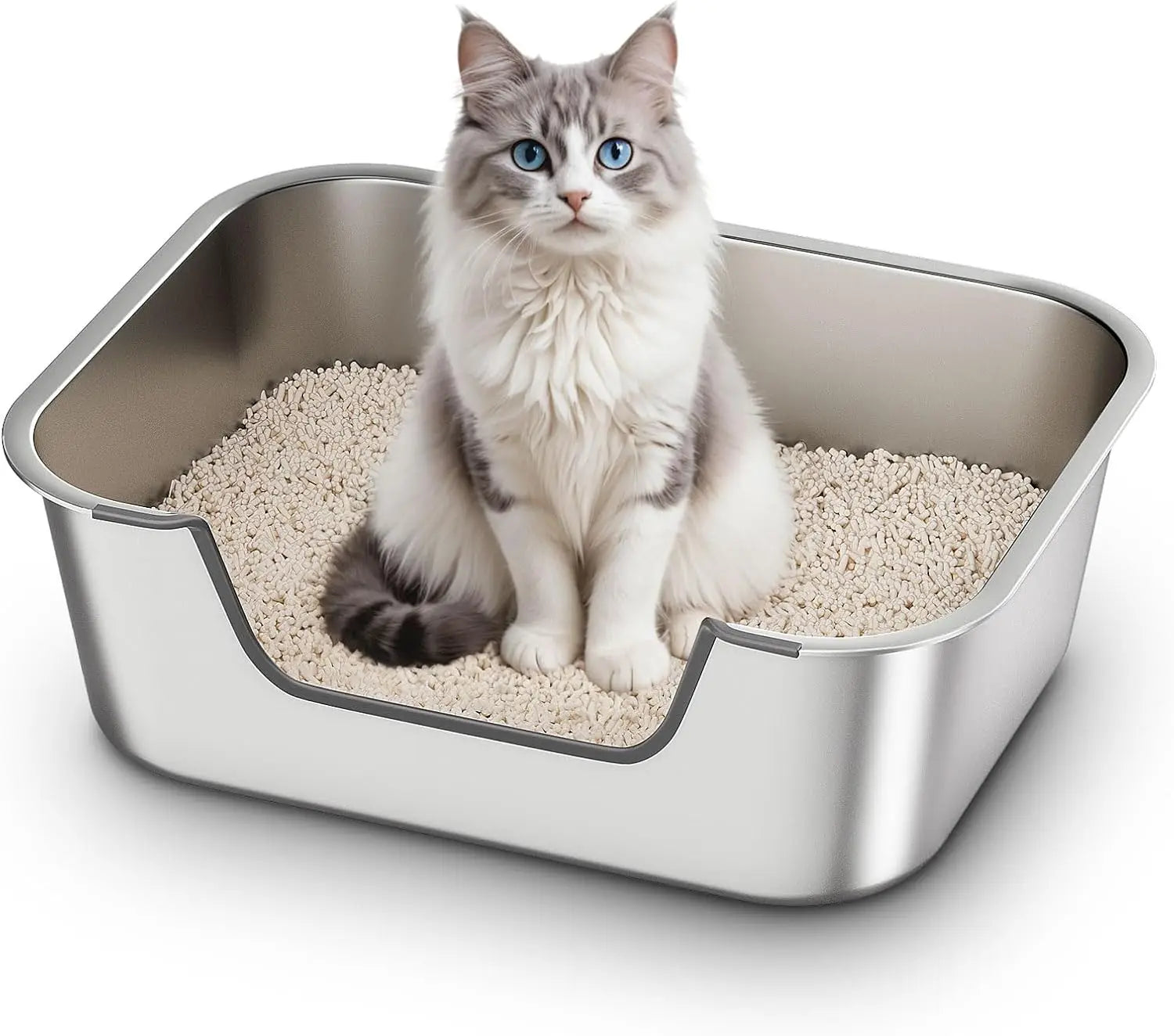 Low Entry Cat Litter Box