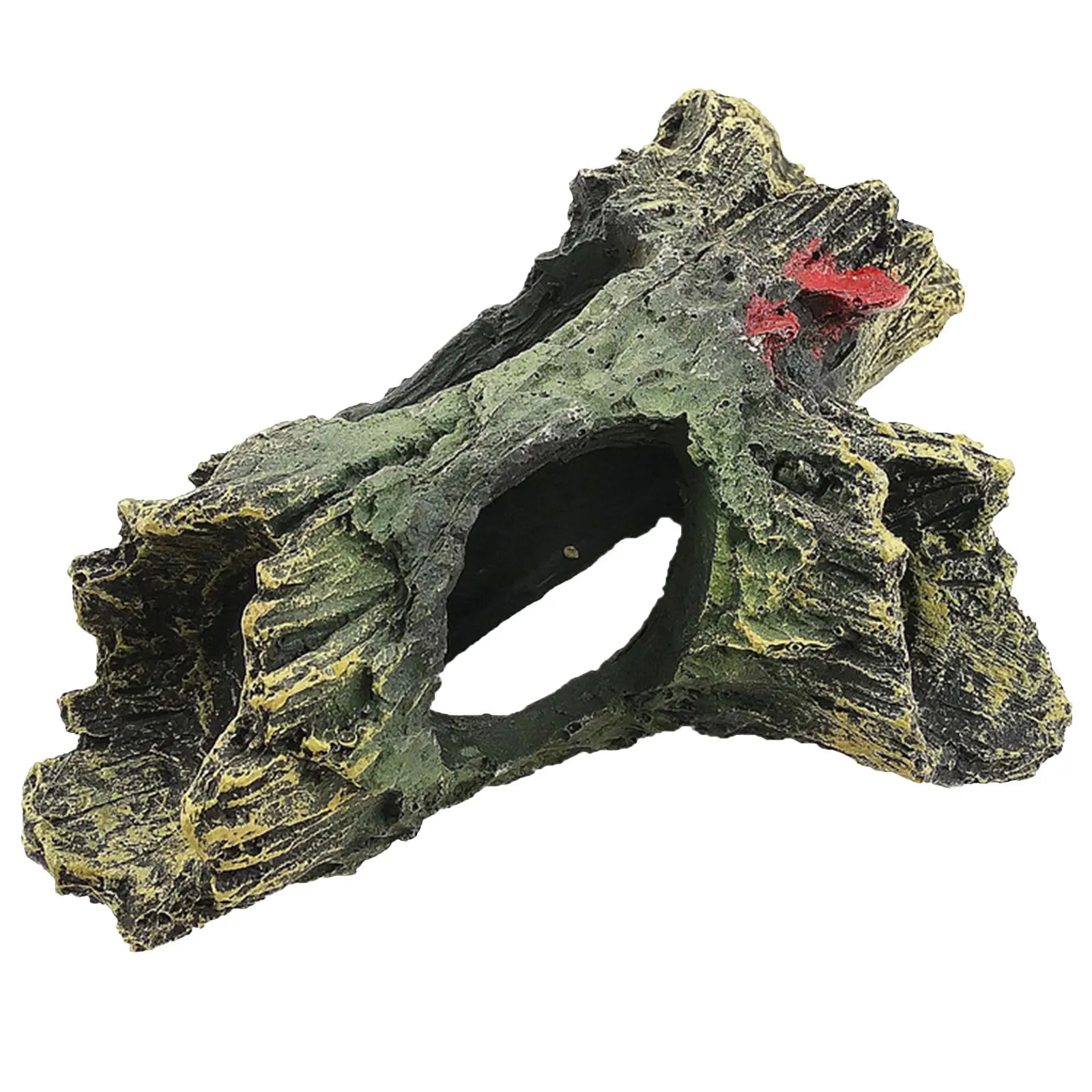 Fish Tank Escape Hole