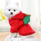 Cute Fruit Dog Clothes