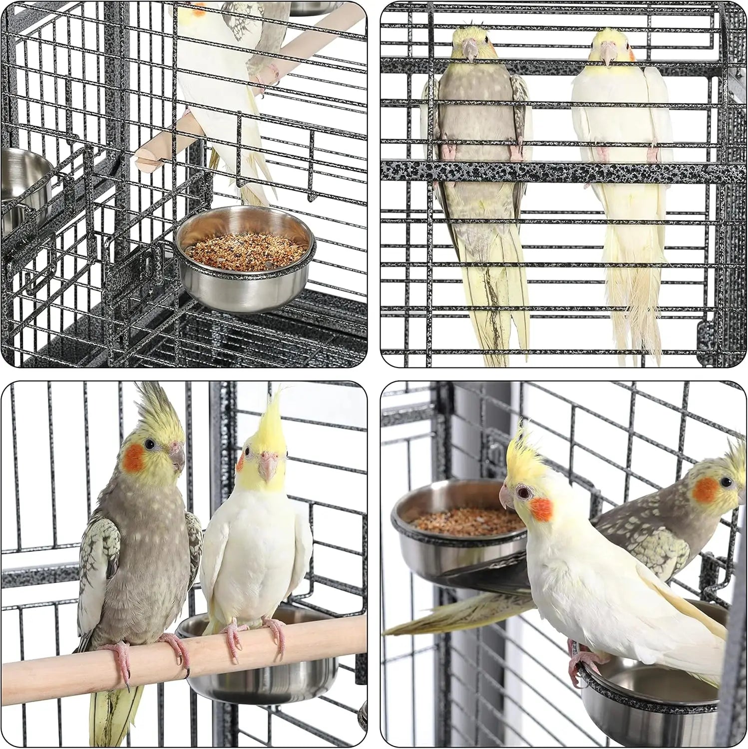 XL Bird Cage 63'' Open Play Top
