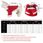 Christmas Dog Costume