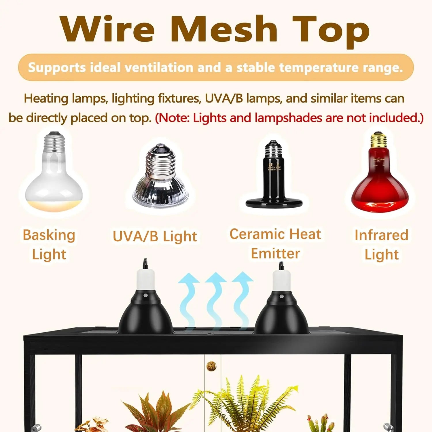 Reptile Tank with Mesh Roof