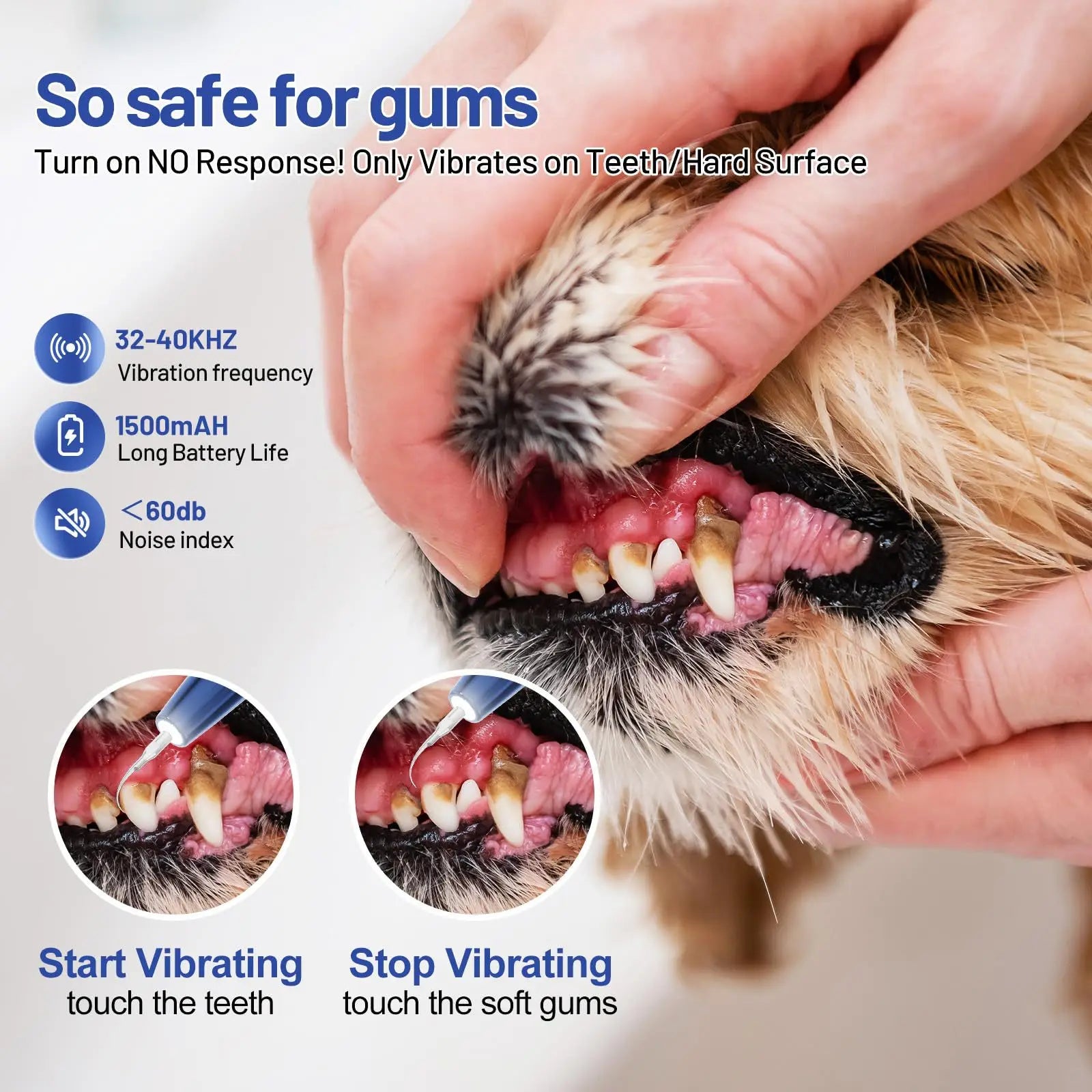 Ultrasonic Toothbrush