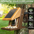Smart Bird Feeder