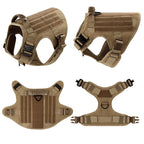 Large Dog Harness/Leash Set
