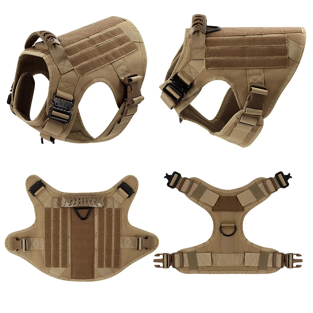 Large Dog Harness/Leash Set