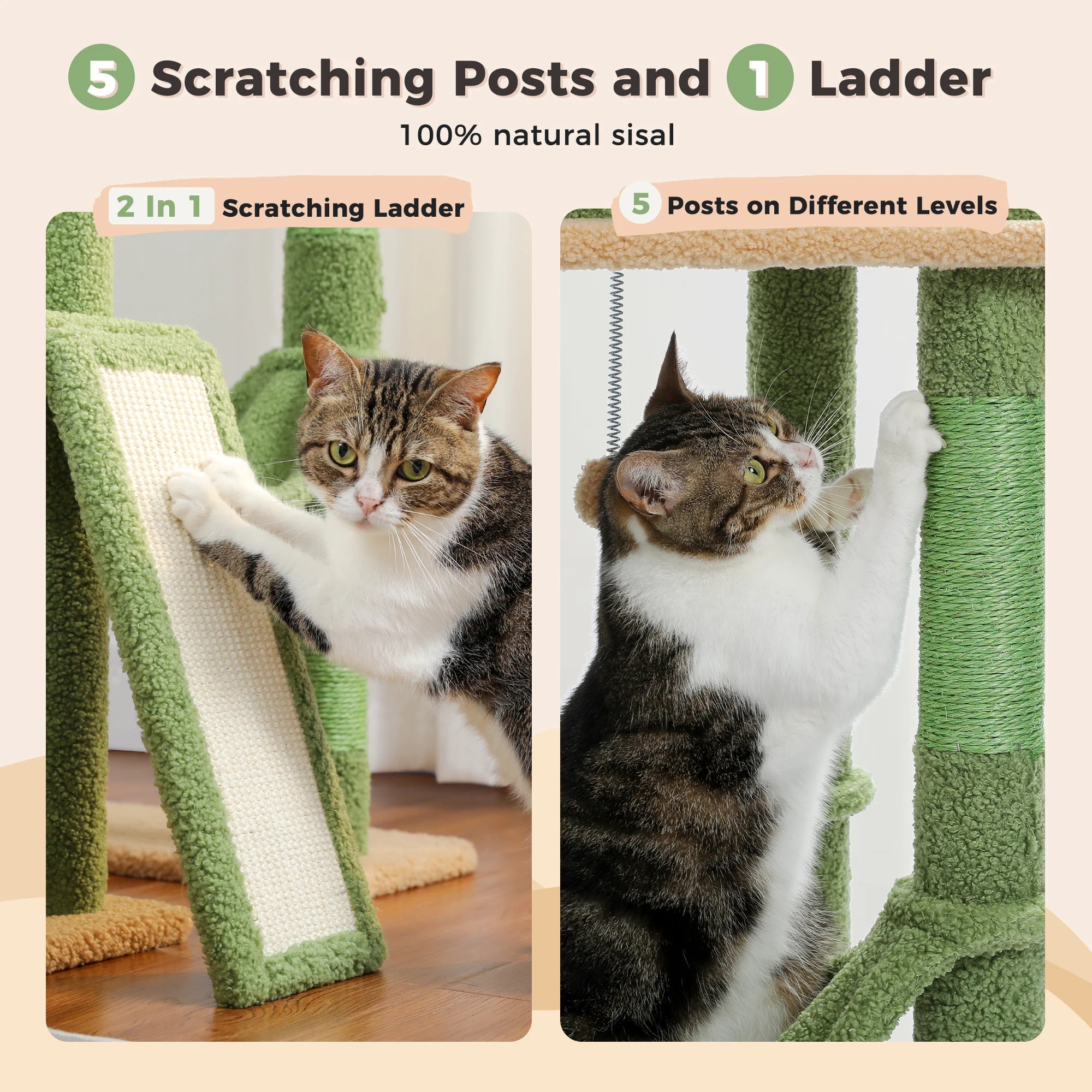 Floor to Ceiling Cat Tree