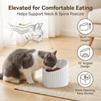 Elevated Ceramic Cat Bowls