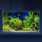 10 Gal. Ultra Clear Rimless Glass Aquarium