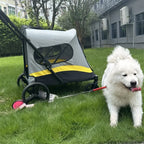 3-in-1 Stroller for Small/Medium Pets