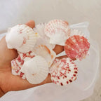 50Pcs Natural Pink Sea Shells