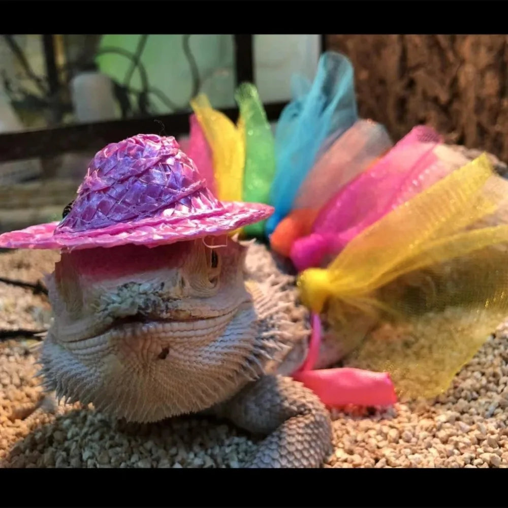 Bearded Dragon Costume Hat