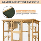Cat House