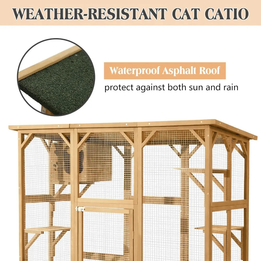Cat House