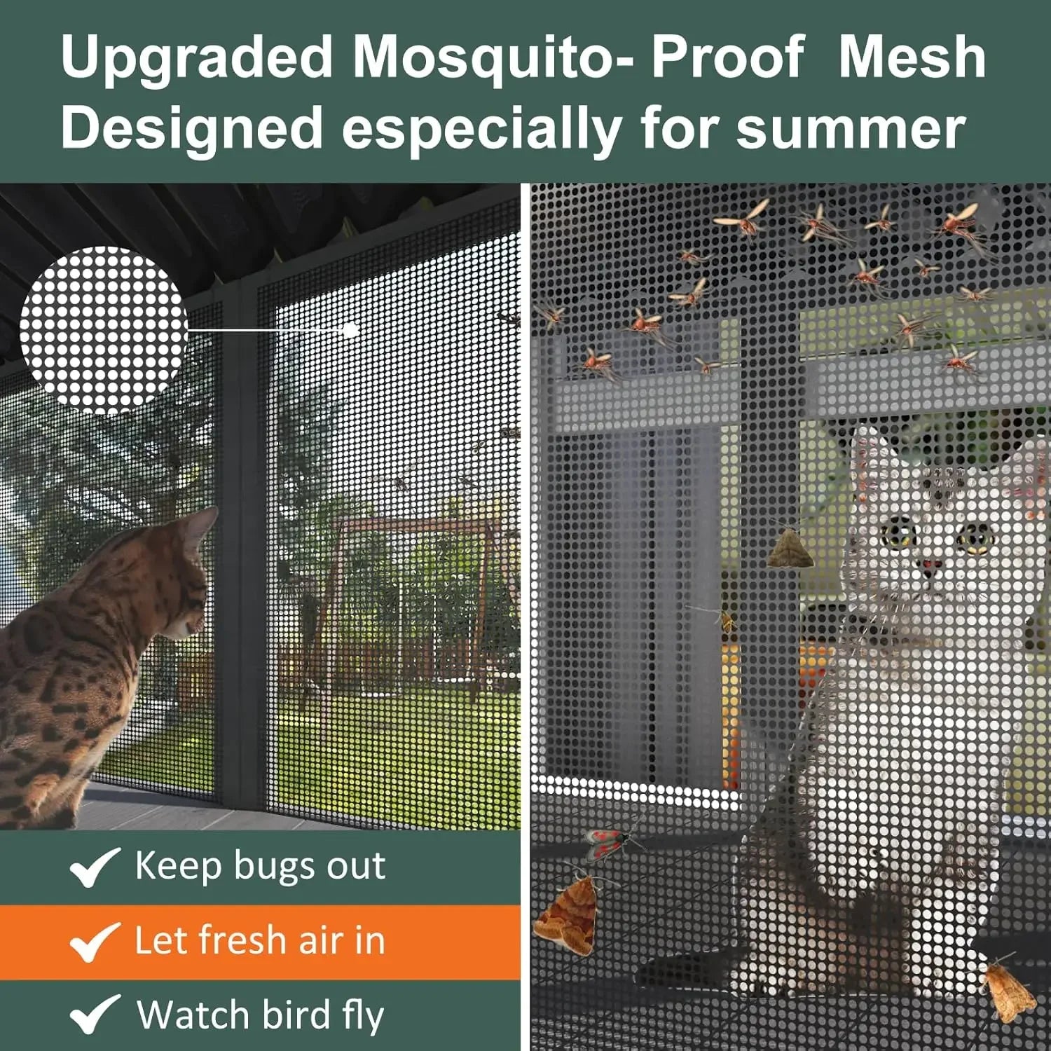 Cat Catio with Mosquito-Proof