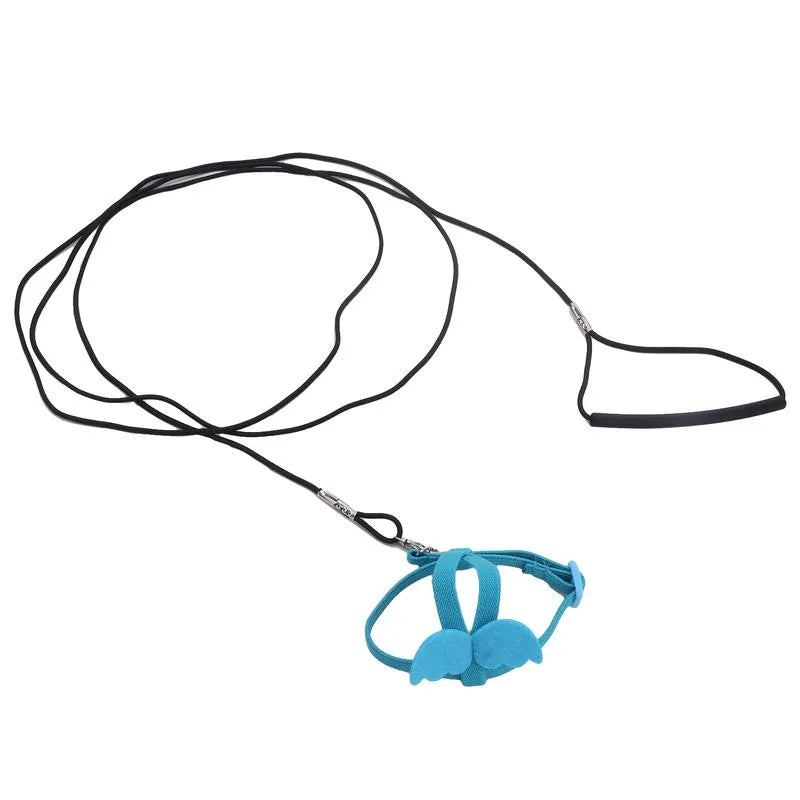 Bird Harness/Leash Training