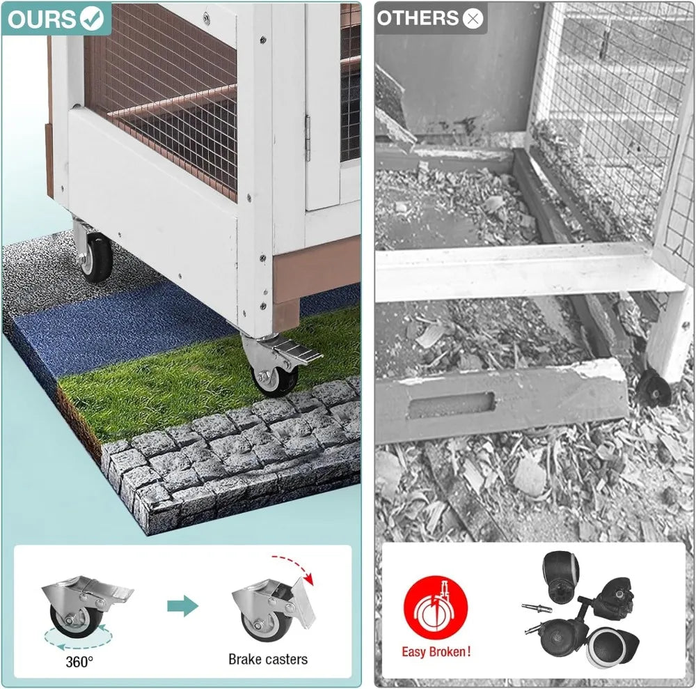 Rabbit Hutch, Guinea Pig/Cage