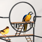 Breeding Bird Cage