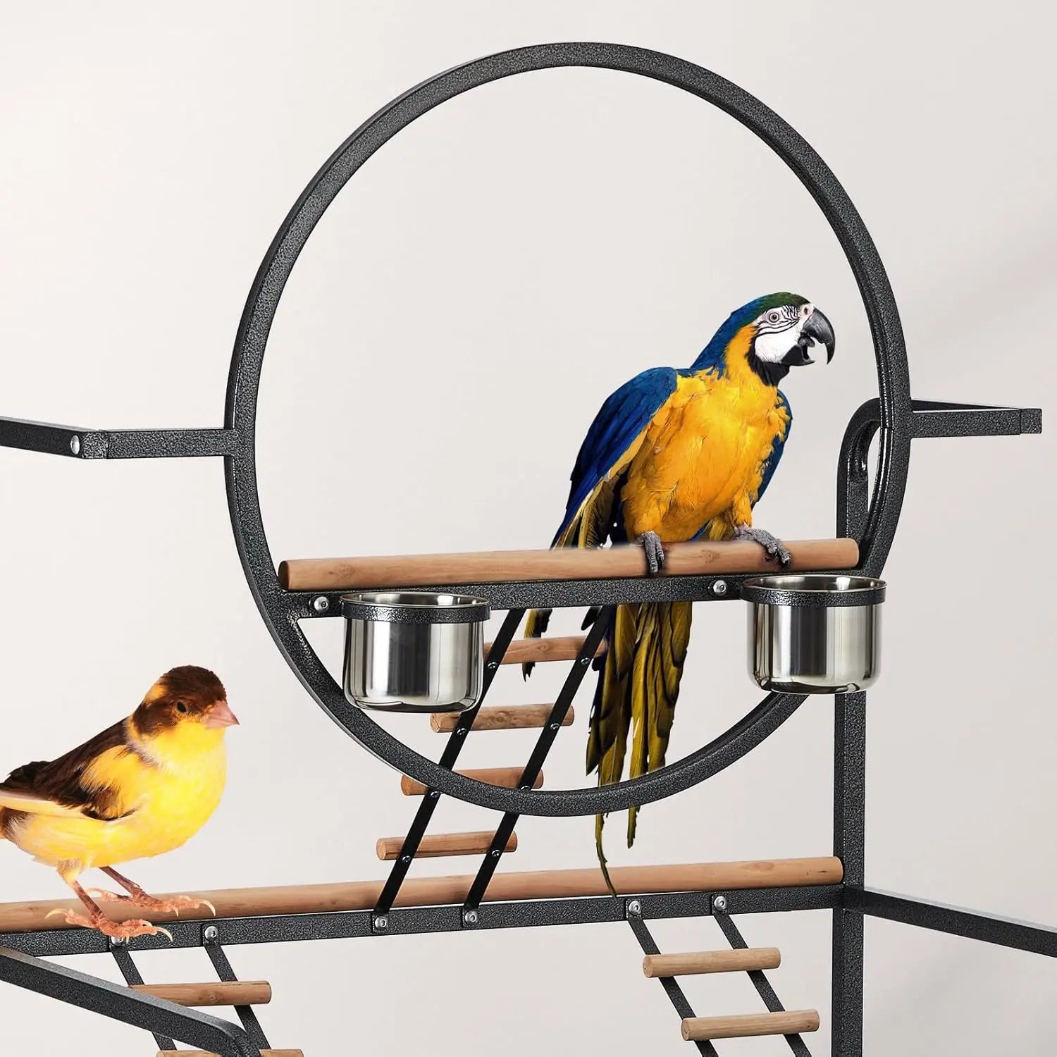 Breeding Bird Cage