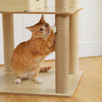 Multi-Level Cat Tree