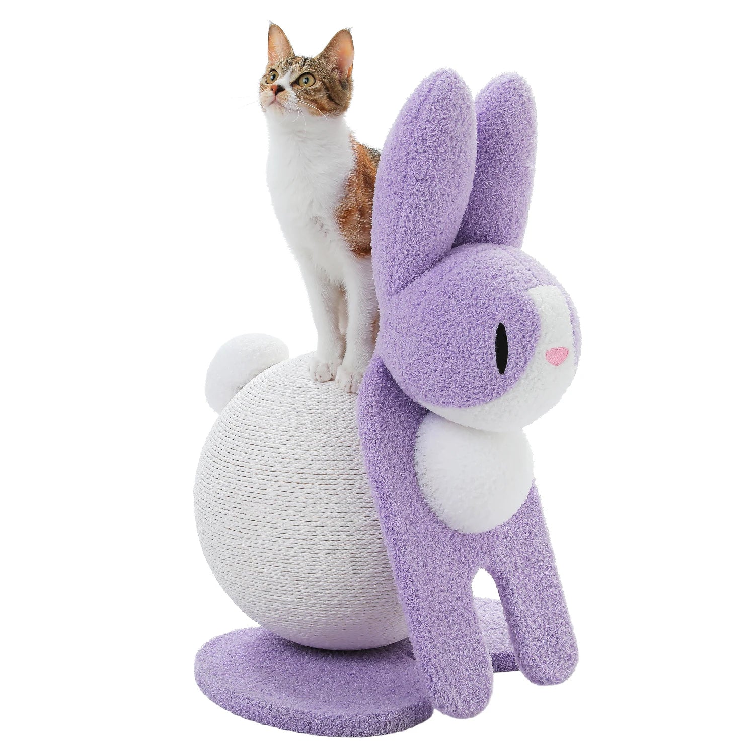 Cute Cat Scratching Posts