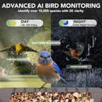 Smart Bird Feeder
