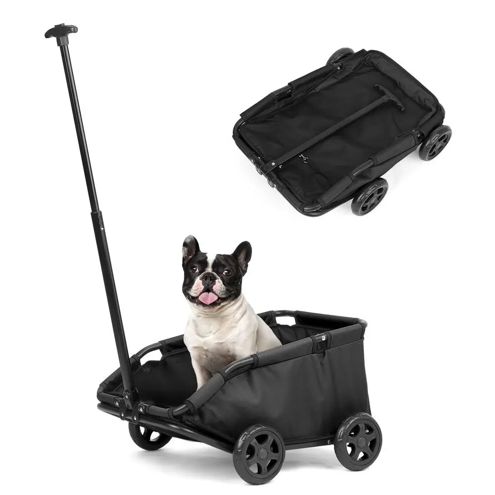 Mini Dog Strollers for Mini Pets