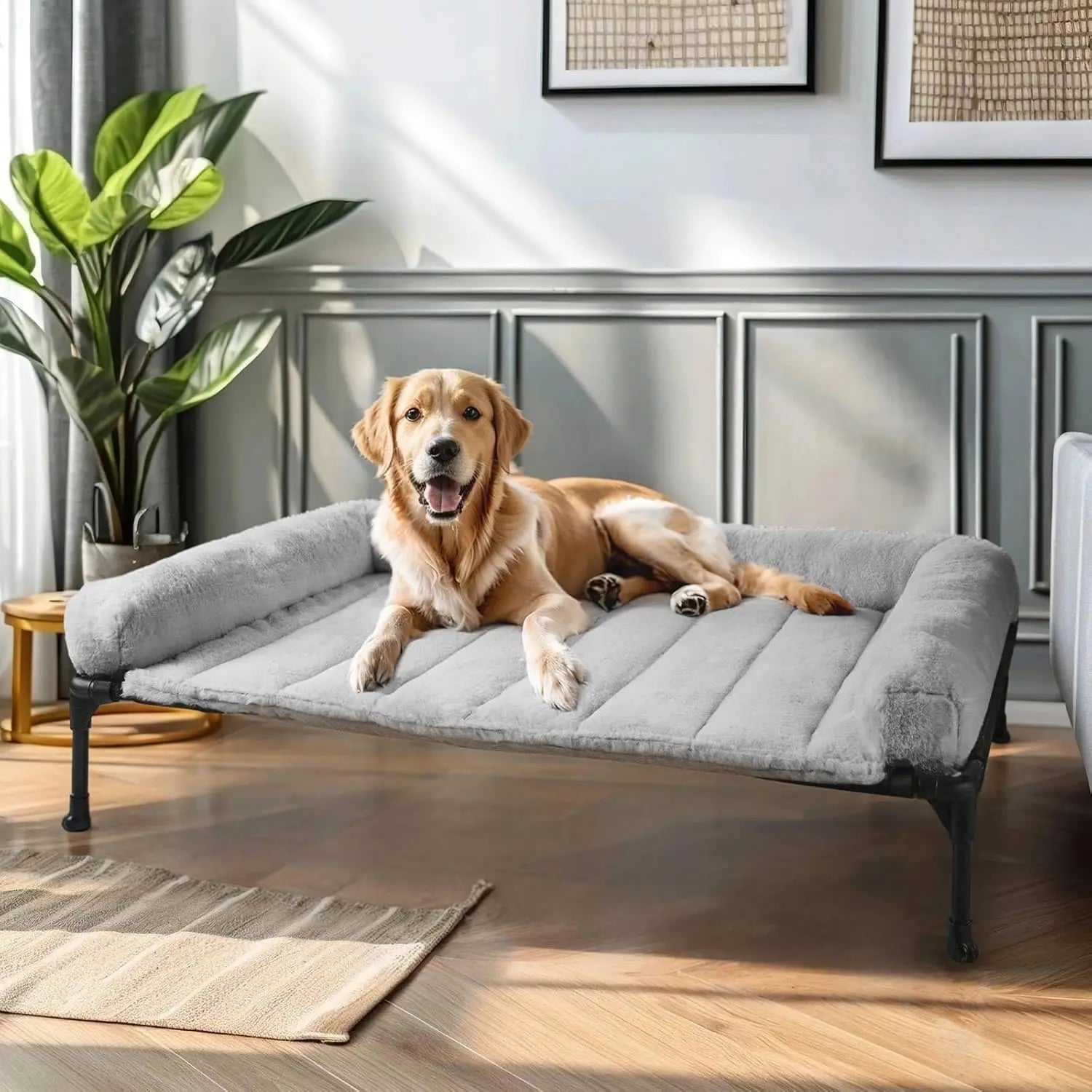 Elevated Orthopedic Dog Bed