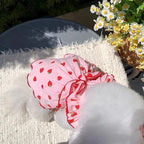 Strawberry Print Pet Dog Dress