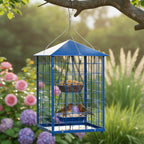 Mealworms Bird Feeders for Bluebirds
