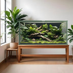Bearded Dragon Enclosure