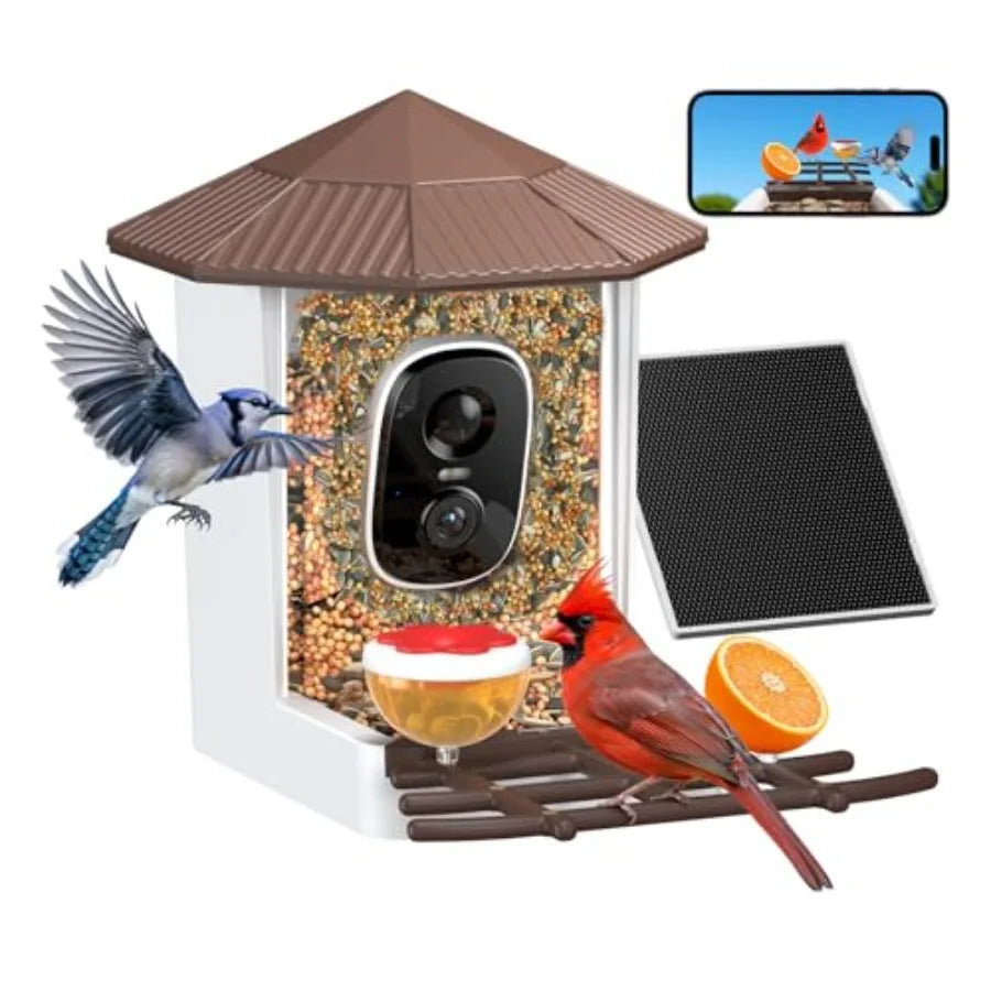 Bird Feeder with Camera