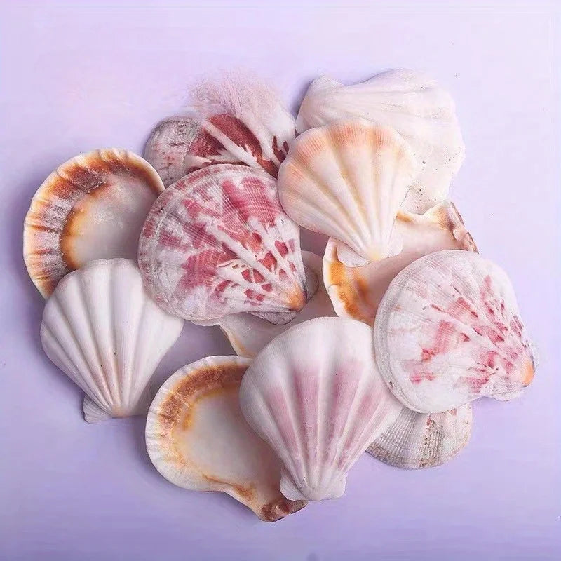 20pcs Pink and White Series Sea-Shells