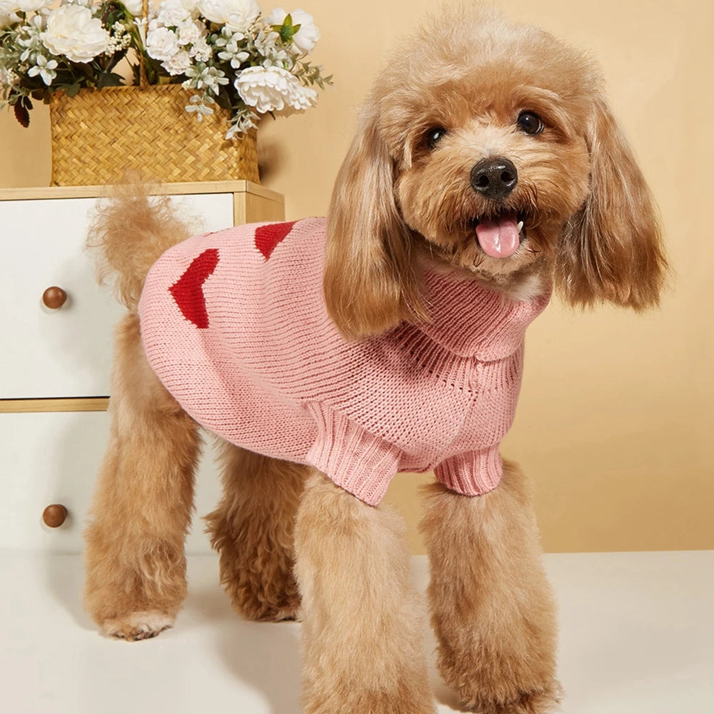 Cute Dog Sweater Heart Pattern
