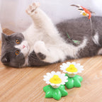 Automatic Rotating Cat Toy