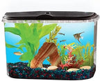 5-Gal. Aquarium Kit, for Tropical Fish