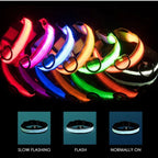 USB Charging LED Dog Collar