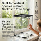 Glass Tarantula Enclosure