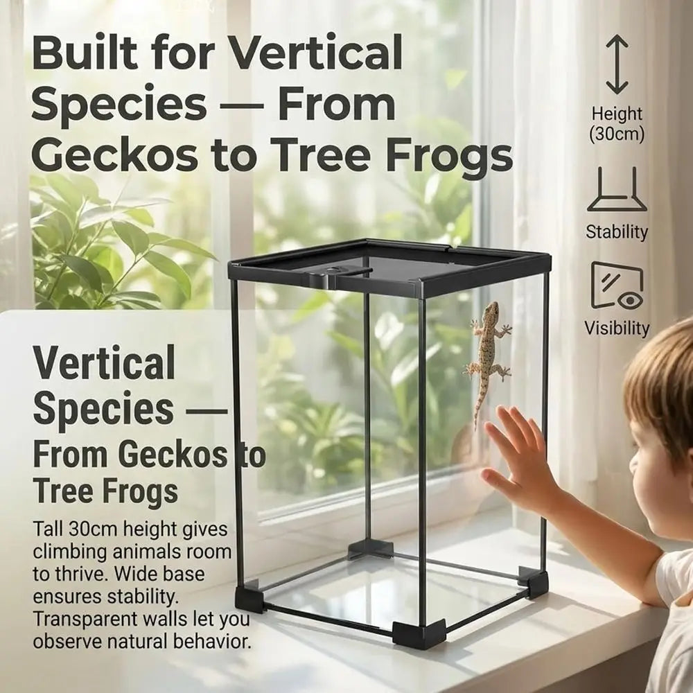 Glass Tarantula Enclosure