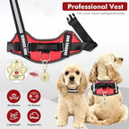 Service Dog Vest & ID Cards