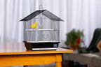 Bird Cage with Handle