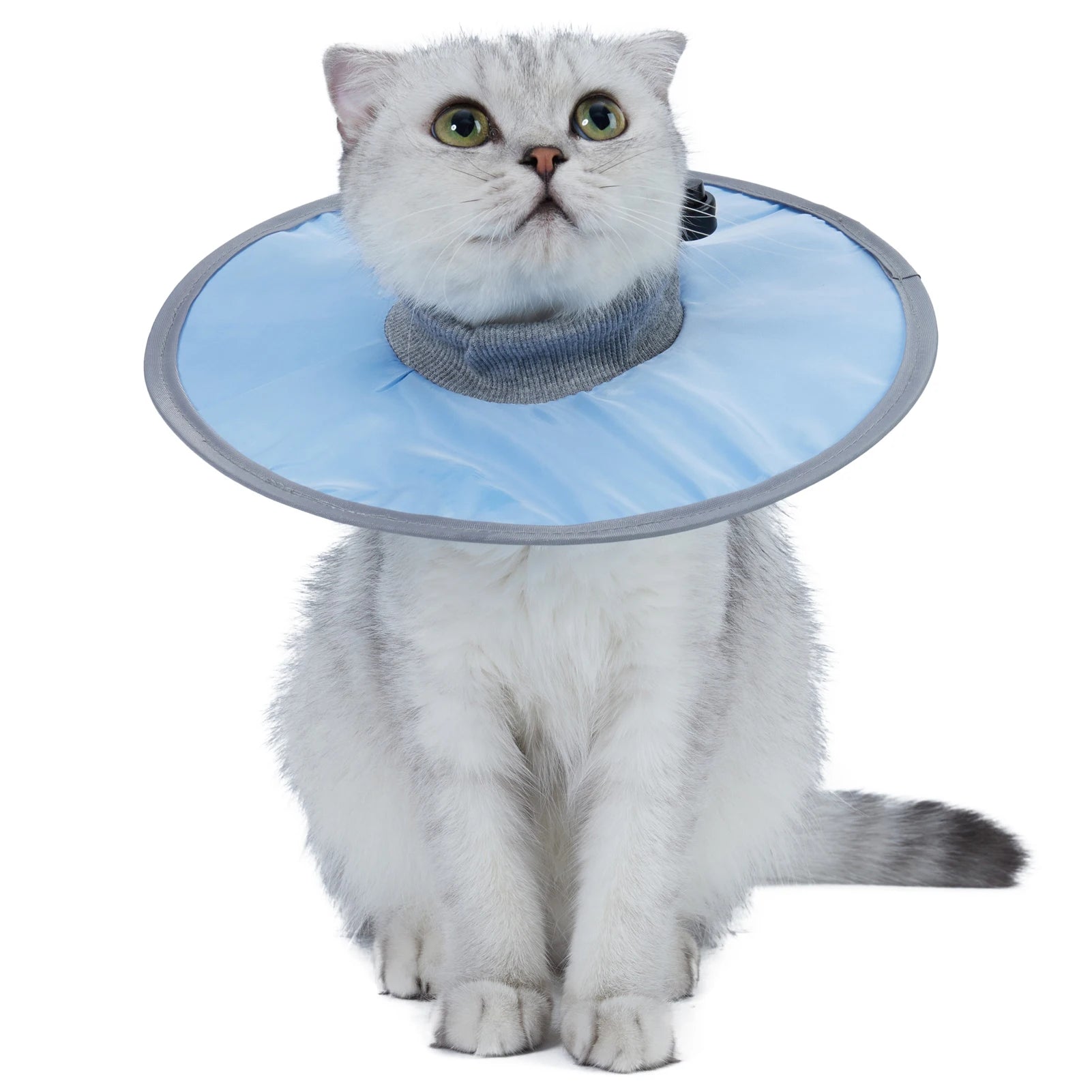 Pet Cat Protective Collar