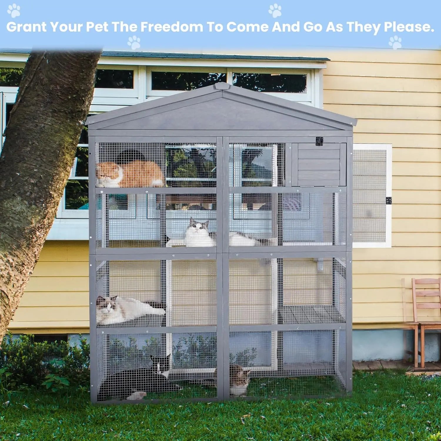 Cat Enclosure 71"