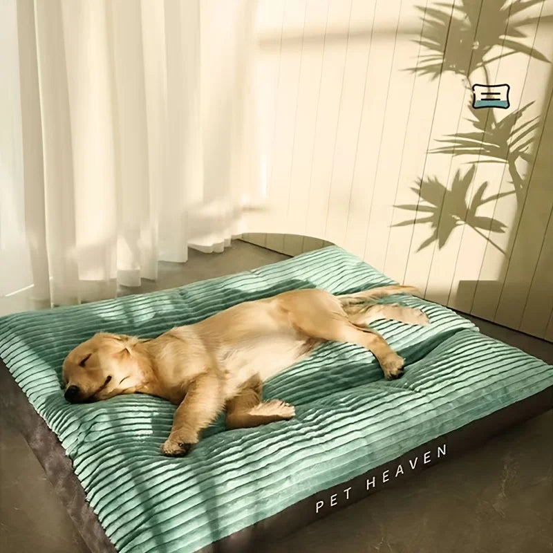 Warm Dog Bed